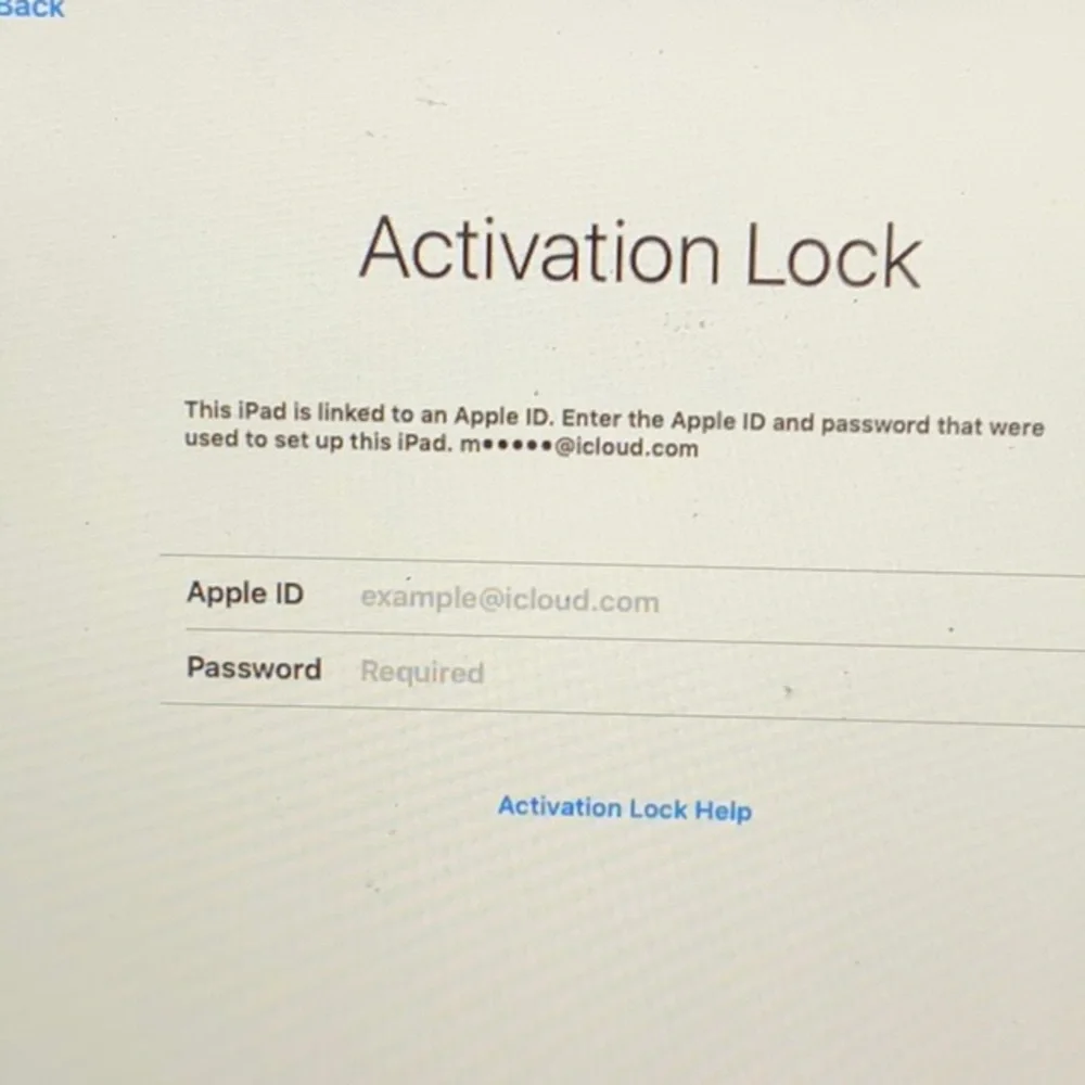 Unlocked iPad mini 4